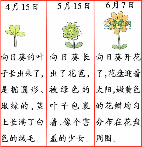 《爬山虎的脚》练习与测试答案