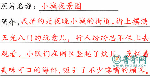 《海滨小城》练习与测试答案