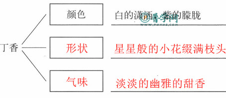 《丁香结》练习与测试答案