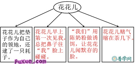 《珍珠鸟》练习与测试答案