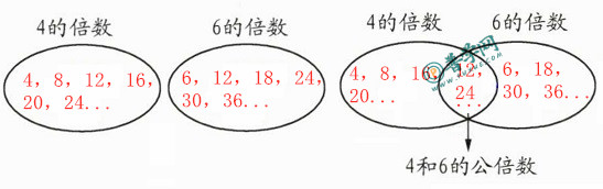 苏教版五年级下册数学练习与测试答案第40页